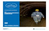 07 NEUMOCONIOSIS LABORAL - Argentina · 2019-12-03 · para el manejo integral de tres formas de neumoconiosis (silicosis, neumoconiosis del minero de carbón y asbestosis). 3. Alcance