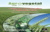 Catálogo de Cereales y Leguminosas - Agrovegetal...Catálogo de Cereales y Leguminosas Innovación, Calidad y Producción Catálogo editado con la colaboración y asesoramiento de