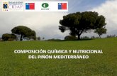 COMPOSICIÓN QUÍMICA Y NUTRICIONAL DEL PIÑÓN … · • Los piñones de pino (de Chile y otros países) exhiben buenas propiedades nutricionales y saludables • Sudamérica: piñones