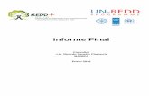 Informe Finalreddcr.go.cr/.../informe_final_ricardo_sabcho.pdf · 2017-08-09 · institucionales que aseguren cuatro elementos esenciales con mandatos claros: 1) un funcionamiento