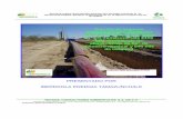 PRESENTADO POR IBERDROLA ENERGIA TAMAZUNCHALEsinat.semarnat.gob.mx/dgiraDocs/documentos/slp/estudios/... · 2014-02-13 · Para la operación de la Planta Productora Independiente