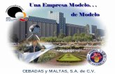 Dirección Competitiva Modelo CEBADAS y MALTAS, …imecca1.com.mx/docs/1a_Jornada_calidad_mex_mad_Camilo...rodeado de seguridad, salud y ergonomía, brindándole los equipos y las