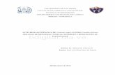 ACTIVIDAD ANTIFÚNGICA DE Cladonia rappii …bdigital.ula.ve/storage/pdf/40621.pdf6 Distribución de los Resultados de la Actividad Antifúngica del Extracto de C. rappii contra C.