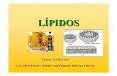 LÍPIDOS - Galiciacentros.edu.xunta.es/iesoteropedrayo.ourense/dptos... · Coñécense uns 70 ácidos graxos que se poden clasificar en dous grupos : •Os ácidos graxos saturados