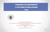 HORMONA DE CRECIMIENTO Y FACTORES ESTIMULADORES HCG factores... · 2019-01-13 · Footer Text 3/19/2018 4 Secreción de GH: pulsatilidad La secreción espontánea de GH es pulsátil.