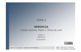 HERENCIA · 2016-05-24 · HERENCIA Definición La herencia es el mecanismo de implementación mediante el cual elementos más específicos incorporan la estructura y comportamiento