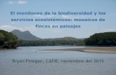 Bryan Finegan, CATIE, noviembre del 2015...El monitoreo de la biodiversidad y los servicios ecosistémicos: mosaicos de fincas en paisajes Bryan Finegan, CATIE, noviembre del 2015
