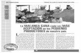 guiagronicaragua.comguiagronicaragua.com/wp-content/uploads/2016/11/La... · fluctuantes, la malanga es un producto con buenas perspectivas de comercia- lización tanto a nivel nacional