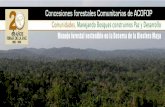 Titulo de la Presentación - CBDManejo forestal sostenible en la Reserva de la Biosfera Maya ÅcOFOP . Concesiones Forestales y Cooperativas en la Reserva de la Biósfera Maya ÅcOFOP