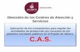 Coordinación de Administración Dirección de los Centros de ...edu.jalisco.gob.mx/participacion-social/sites/edu...Lineamientos generales para el expendio y distribución de alimentos