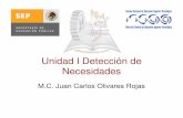 Unidad I Detección de Necesidadesdsc.itmorelia.edu.mx/~jcolivares/courses/dp07b/dp_u1.pdf · 2014-02-07 · Etapas para el desarrollo de un proyecto • Detección de necesidades: