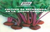 Cultivo de Betarraga en la Costa Centralrepositorio.inia.gob.pe/bitstream/inia/1018/1/Castillo-cultivo... · betarraga de mesa, alcanzando para 1994 las 752 hectáreas en nuestro