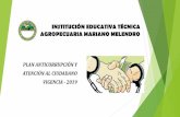INSTITUCIÓN EDUCATIVA TÉCNICA AGROPECUARIA …...La Institución Educativa Técnica Agropecuaria Mariano Melendro, será reconocida en el año 2021 como líder en el desarrollo de