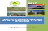 PROPUESTA DESARROLLO ESTRATEGICO DEL SECTOR … · 2017-11-17 · Del total del territorio 87% es de vocación forestal (48% del territorio está cubierto por bosques). ... banano