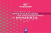 expandemineria.cl · 2020-03-16 · Programa Expande La presente publicación, Casos de Innovación de Proveedores en la Minería Chilena, Volumen 3,se enmarca en el Programa de Innovación