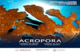 ACROPORA...desde los pastizales subalpinos y cumbres glaciares, hasta los arrecifes de coral del Caribe, pasando por todo tipo de bosques, desiertos y matorrales, lo cual ha llevado