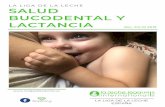 LA LIGA DE LA LECHE BUCODENTAL Y LACTANCIAaelama.org/wp-content/uploads/2019/07/Salud-bucodental-y-lactancia-1.pdfmodo de preparación. SALIVA La saliva es nuestro mayor protector