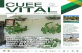 CUEE VITAL - EPA Cartagenaobservatorio.epacartagena.gov.co/wp-content/...meta de sembrar más de 30 plántulas mensuales. El programa Mi escuela limpia – Mi entorno limpio, sólo