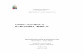 CONSERVACION Y MONTAJE DE EXPOSICIONES TEMPORALESrepositorio.uchile.cl/tesis/uchile/2006/sallato_m/sources/sallato_m.pdf · realización de exposiciones temporales en su contexto