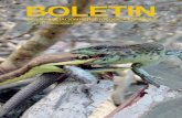 BOLETIN - Webs et al.pdfbol. asoc. herpetol. esp. (2006) 17 (2) 115 trampas y plataformas de asoleamiento: la mejor combinaciÓn para erradicar galÁpagos exÓticos natividad pÉrez