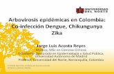 Arbovirosis epidémicas en Colombia: Co-infección Dengue, … · 2020-01-17 · Arbovirosis epidémicas en Colombia: Co-infección Dengue, Chikungunya Zika Jorge Luis Acosta Reyes