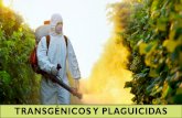 Transgénicos y Plaguicidas · Los plaguicidas de amplio espectro,son biocidas,y matan indiscriminadamente. En el caso de los insecticidas, tanto a los insectos cuya población ha