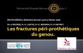 DIU DU GENOU, Séminaire de Lyon 19 & 20 février 2016 Dr. A ...orthopedie-lyon.fr/wp-content/uploads/2012/02/DIU-GENOU-2016-FR… · fémoraux (supra-condylienne ou inter-condylienne)