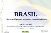 BRASIL - Conama 2014/1… · Oportunidades La oferta interna de energías renovables crecerá un 5,1% anual y de las no renovables, un 4,7% anual Crece sobre todo la oferta de gas