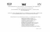 UNIVERSIDAD NACIONAL AUTÓNOMA DE MÉXICOherzog.economia.unam.mx/academia/inae/pdf/reforma/PropuestaIN… · de INAE, inició un proceso de discusión y debate en torno a las modificaciones