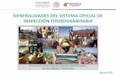 GENERALIDADES DEL SISTEMA OFICIAL DE INSPECCIÓN ...€¦ · COMERCIO EXTERIOR EN MÉXICO México cuenta con 65 Oficinas de Inspección de Sanidad Agropecuaria (OISA´s) en Puertos,