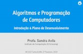 Algoritmos e Programação de Computadoressandra/pdf/class/2019-1/mc102/2019-0… · Construção de algoritmos e sua representação em pseudocódigo e linguagens de alto nível