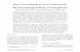 Bases Neurobiológicas de la Esquizofrenia The ...scielo.isciii.es/pdf/clinsa/v21n3/v21n3a04.pdf · Esquizofrenia es sustancial, la etiología de la misma está mal explicada en estos