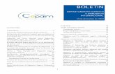 BOLETIN - Cepaimcepaim.org/wp-content/uploads/2018/12/v5-BOLETIN-10-11-Diciembr… · Cepaim leída en la Cumbre, un breve resumen del proceso de elaboración del Pacto y dos artículos