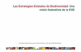 Las Estrategias Estatales de Biodiversidad: Una visión ...€¦ · Causas y consecuencias de la pérdida de Biodiversidad. Fuente: Conabio 2006. Capital natural y bienestar social.