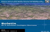 Boletínboletinsgm.igeolcu.unam.mx/bsgm/docs/portadas/portada-7102.pdf · base a fronteras artificiales y, por consiguiente, el Boletín está abierto a cualquier área geográfica
