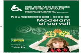 Neuropsicologia i escola: Modelant el cervellca.activacongresos.com/.../04/...tecnica-Neuropsicologia-i-Escola-CA… · tard en la plasticitat cerebral. El Dr. Kolb és un dels neurocientífics