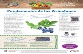 Fundamentos de los Arándanos - Food Hero€¦ · Super Nieve con Frutas Ingredientes: 1 taza de yogur de vainillabajo en grasa = de taza de duraznoscortados, frescos, congelados