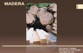MADERA - Arquitectura Aplicada · blanda ( fácil de cortar) flexible ( bien elástica ) Madera La sustancia dura y fibrosa que se encuentra debajo de la corteza de los árboles.
