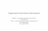 Organización Económica Internacional€¦ · Organización: El término organización no hace referencia necesariamente a orden sino más bien, se refiere a institución o régimen