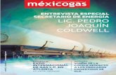 EDITORIAL46 - MEXICOGASmexicogas.net/revistaspdf/revista46.pdf · GLP, coberturas, y logistica entre otros. El convenio tiene como propósito educar al mercado de GLP mexicano y ofrecerle