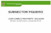 SUBSECTOR FIQUERO - MinAgricultura Cifr… · Proyecto Entidad Representante Proyecto Contrapartida Cofinanciación Total 2008 2008J389 5-3829 Universidad de Nariño OBTENCIÓN DE