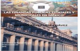 Las finanzas públicas estatales y municipales en México ...€¦ · Las finanzas públicas estatales y municipales en México Hilario Barcelata Chávez 3 INDICE INTRODUCCIÓN GENERAL