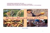 UNIVVEERRSSI IDDAADD CCCIEENNTTIIFFIICAA DDEELL SSUURR ... · Plantas alimenticias del Perú El país, uno de los Centros Vavilov más importantes en la historia de la lucha por la