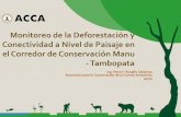 Monitoreo de la Deforestación y Conectividad a Nivel de ...€¦ · Monitoreo de la Deforestación y Conectividad a Nivel de Paisaje en el Corredor de Conservación MAT Análisis