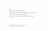 Evaluación Socioeconómica de Proyectos de Inversión Públicabiblioteca.iplacex.cl/RCA/Evaluación socioeconómica de proyectos d… · Demanda y capacidad de un proyecto tipo Figura