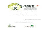 Consultoría: Redacción y Consulta de la Estrategia REDD+reddcr.go.cr/sites/default/files/centro-de-documentacion/informe_de... · Fondo Cooperativo del Carbono de los Bosques (FCPF).