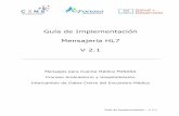 Guía de Implementación Mensajería HL7 V 2€¦ · toda la información y datos contenidos en cada estándar junto con toda la información que cada país o institución requiere.