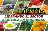 colprocah.com. … · Situación de la Seguridad Alimentaria y Nutricional Recientemente la FAO emitió un reporte en donde señala … “la producción de alimentos tendrá que
