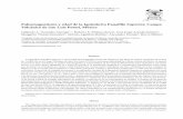 Paleomagnetismo y edad de la Ignimbrita Panalillo Superior ...ciep.ing.uaslp.mx/publicaciones/1552018Gonzalez-Naranjo et al., 201… · (CVSLP), en la parte sudoriental de la Mesa