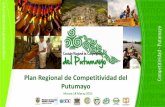 Plan Regional de Competitividad del Putumayoccputumayo.org.co/.../03/PRESENTACION-PLAN-REGIONAL-DE-COM… · ambiente de negocios que incentive la inversión local y extranjera, propicie